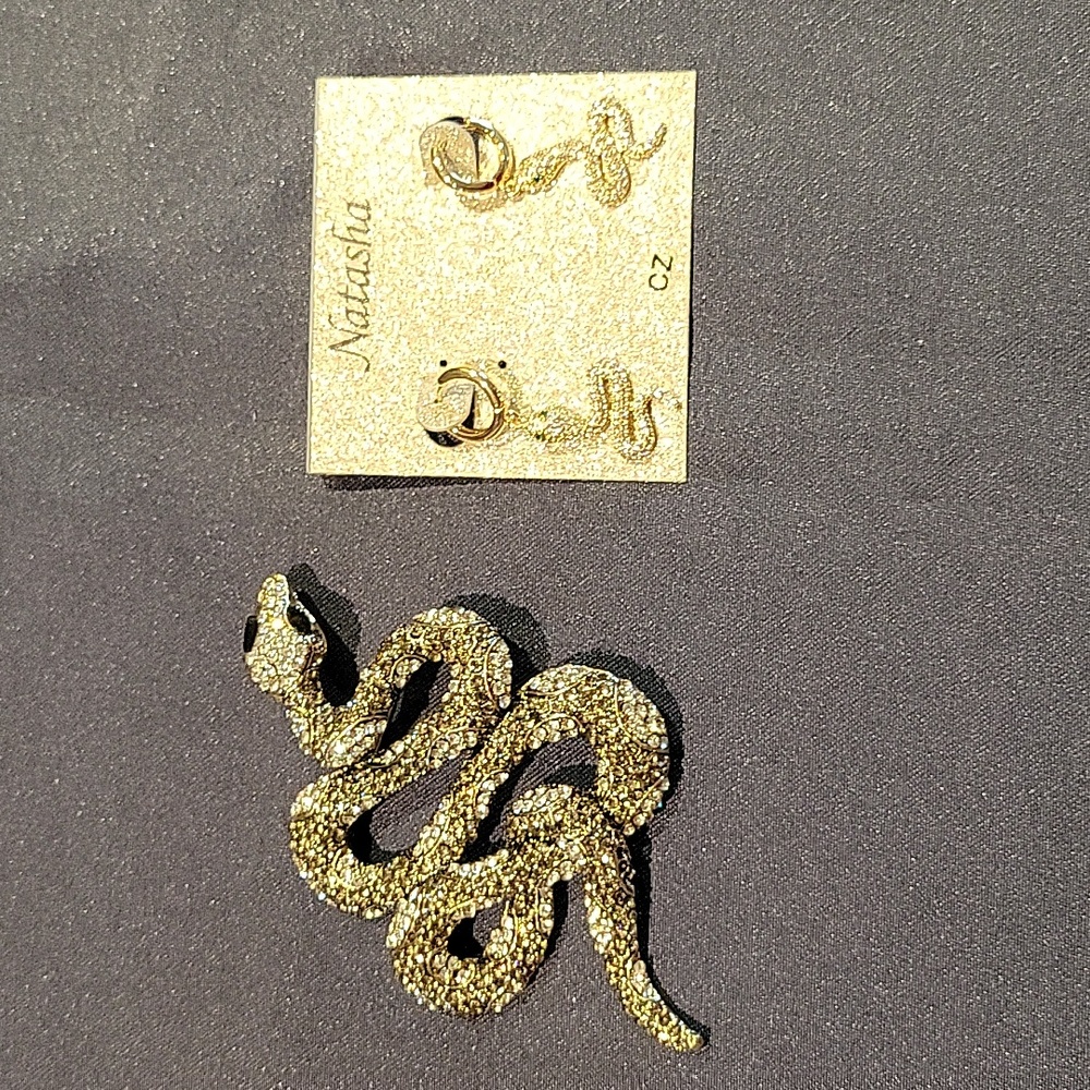 Serpent Pin w Earrings